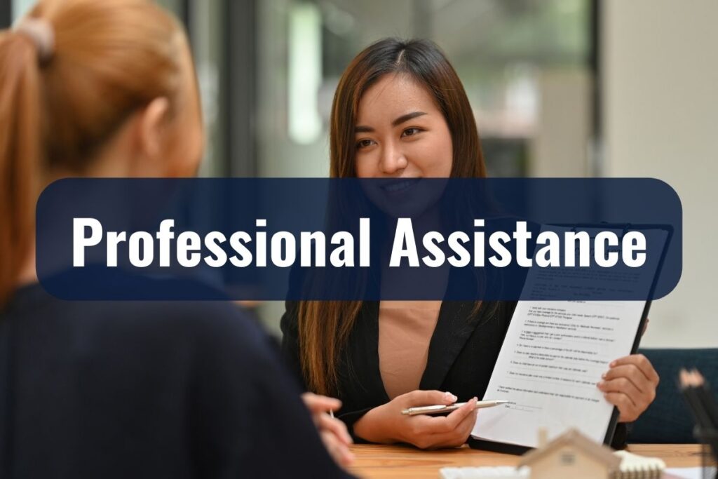 Professional Assistance